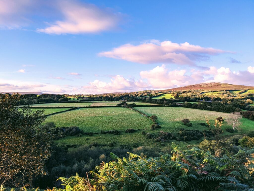 Cox Tor, Dartmoor
